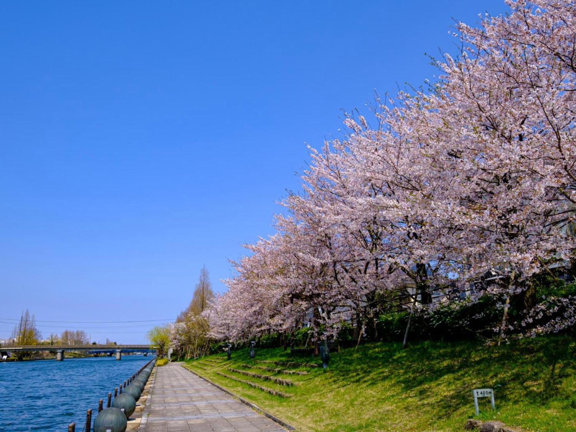 فندق مورينوكازي تاتياما Toyama Station المظهر الخارجي الصورة