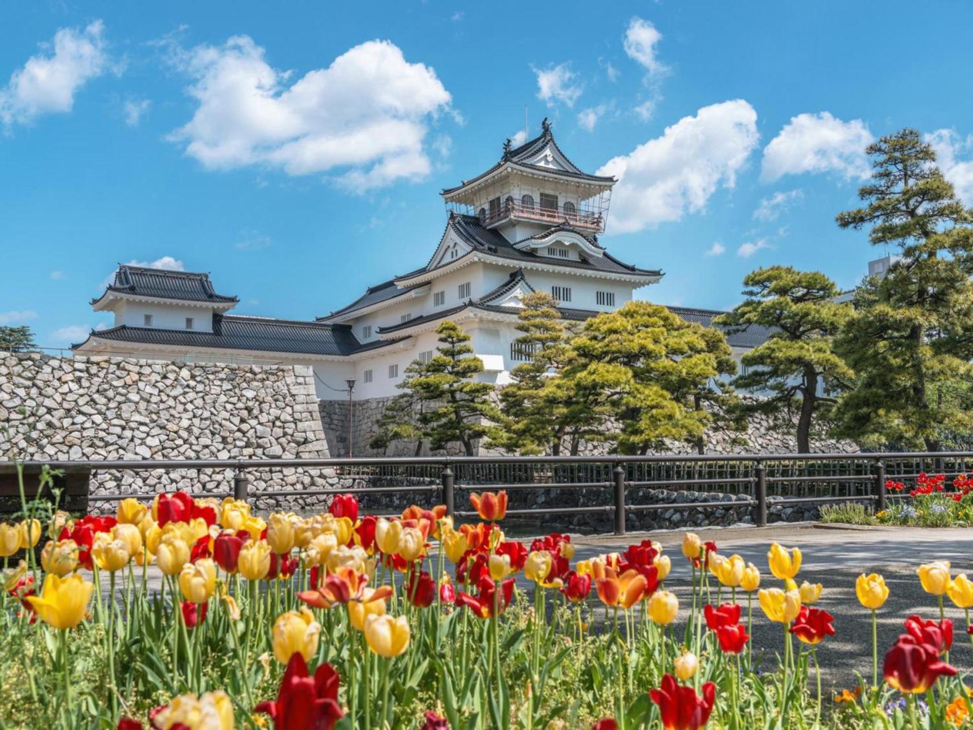 فندق مورينوكازي تاتياما Toyama Station المظهر الخارجي الصورة